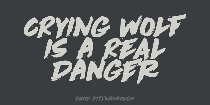 Cry Wolf Font Family Ifonts Xyz