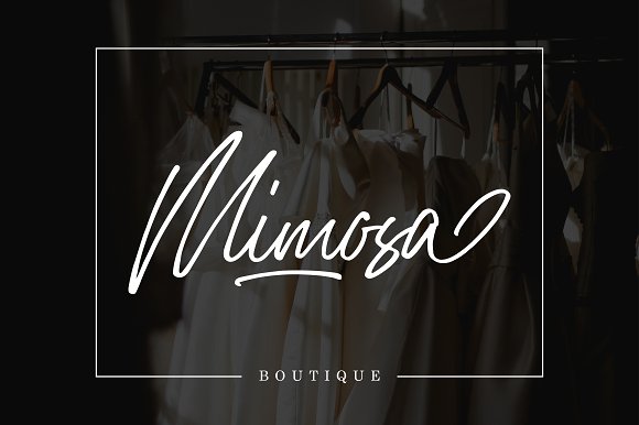 Homeland Script Font