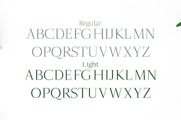 Jesusa Serif Typeface