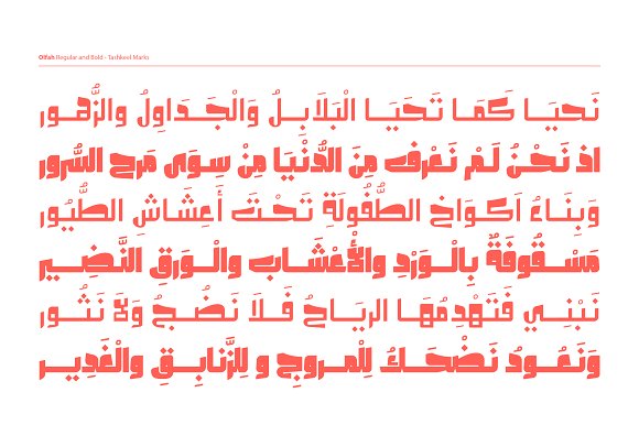 Free Olfah Arabic Typeface Script Fonts