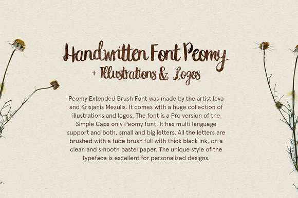 Peomy Extended Font & Illustrations