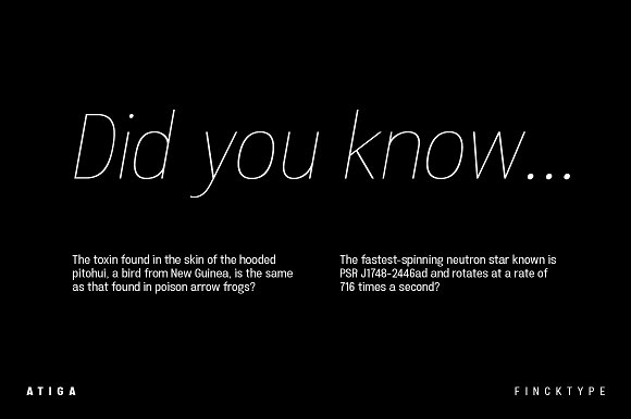 Atiga - 3 Weights + Italics