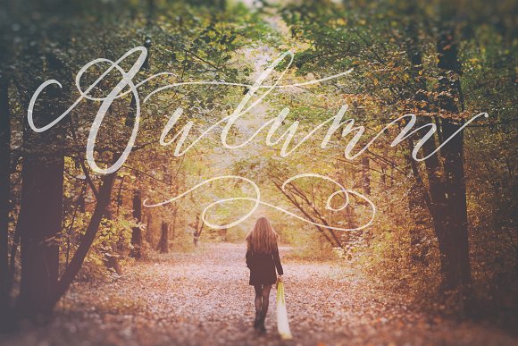 Serenity & Olivia Calligraphy Font