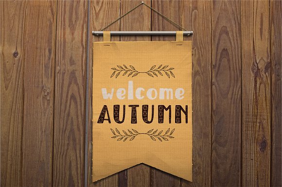 Autumn Spice Display San Serif Font