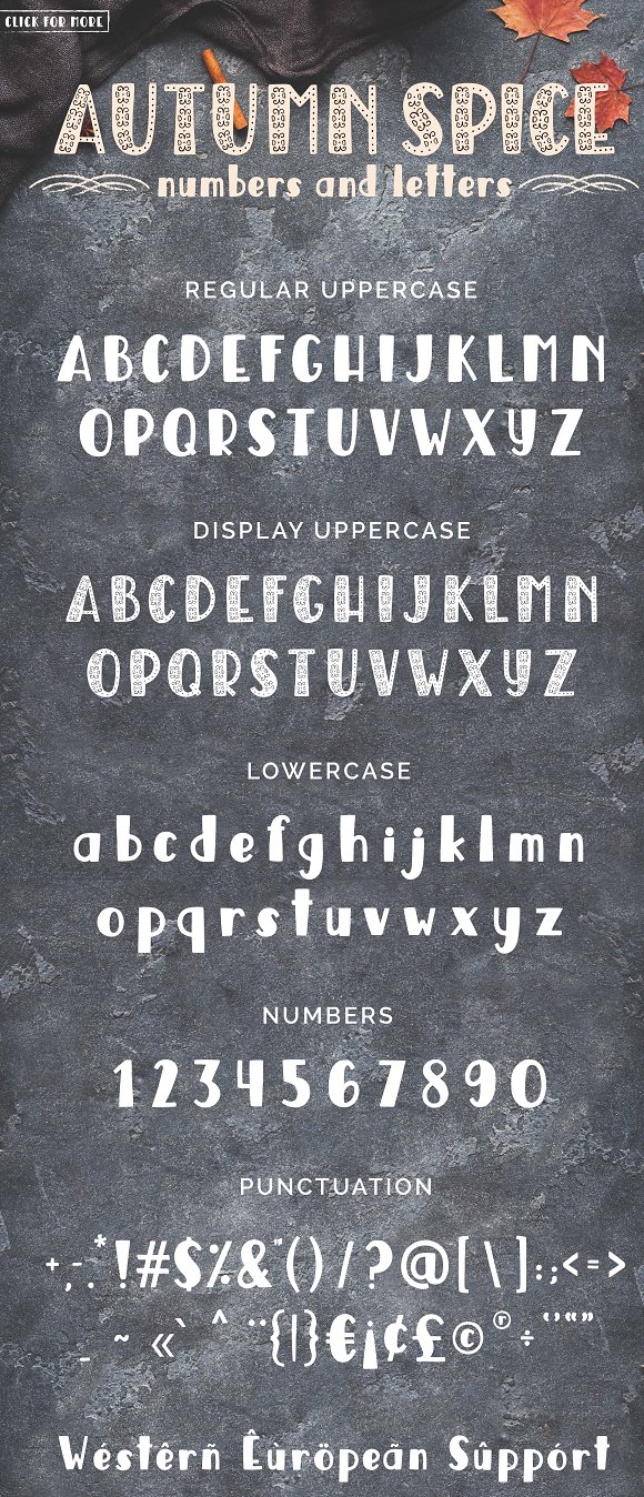 Autumn Spice Display San Serif Font