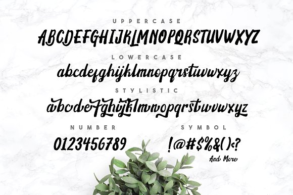 Martabak Script Font Martabak Script Font