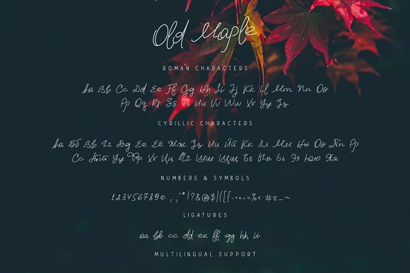 Old Maple Script Font