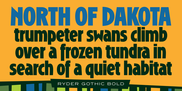 Ryder Gothic Pro Font Family Ryder Gothic Pro Font Family