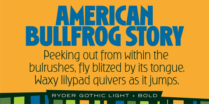 Ryder Gothic Pro Font Family Ryder Gothic Pro Font Family