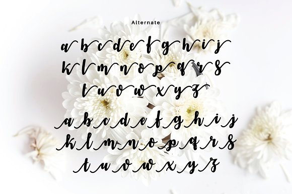 VIANDA Font