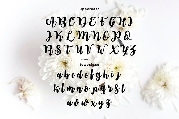 VIANDA Font