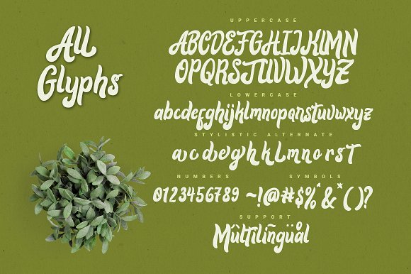 Alora Typeface