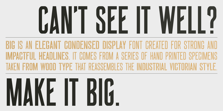 Big Font Family