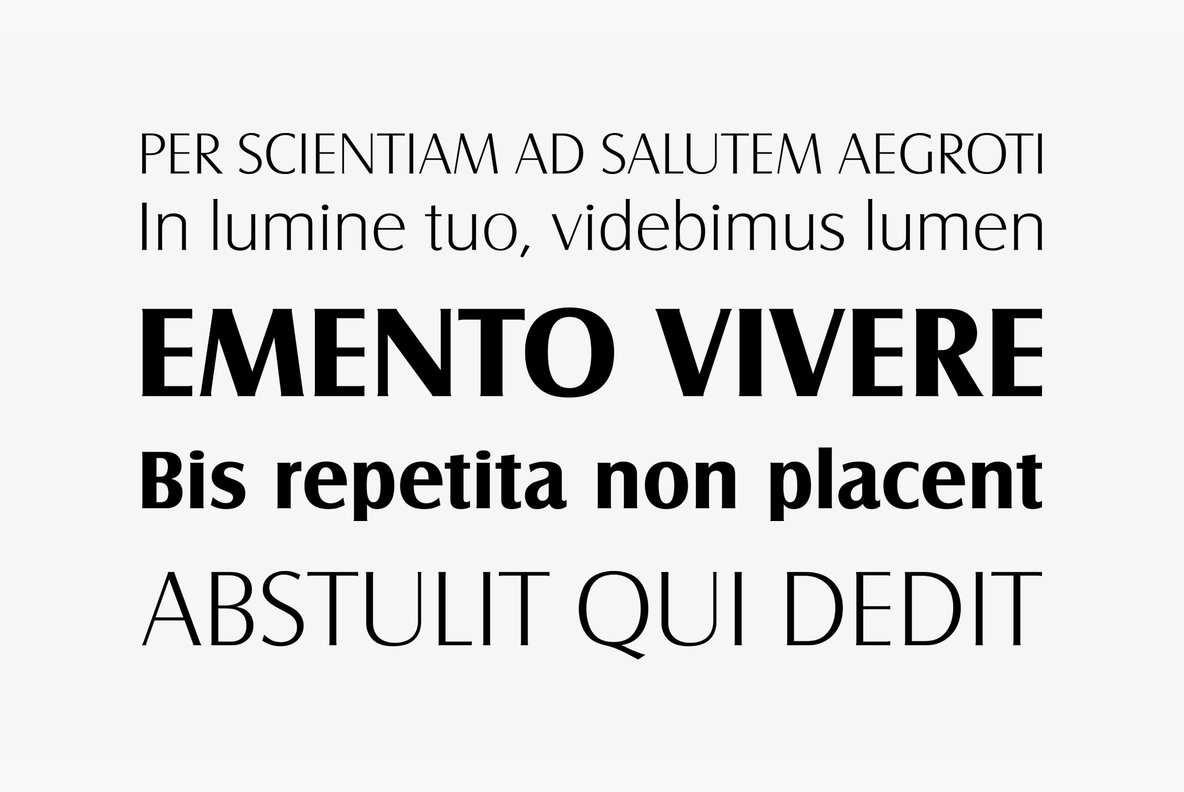 Castle Font Family