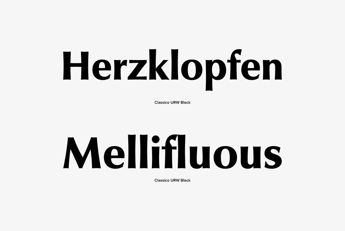 Classico Font Family