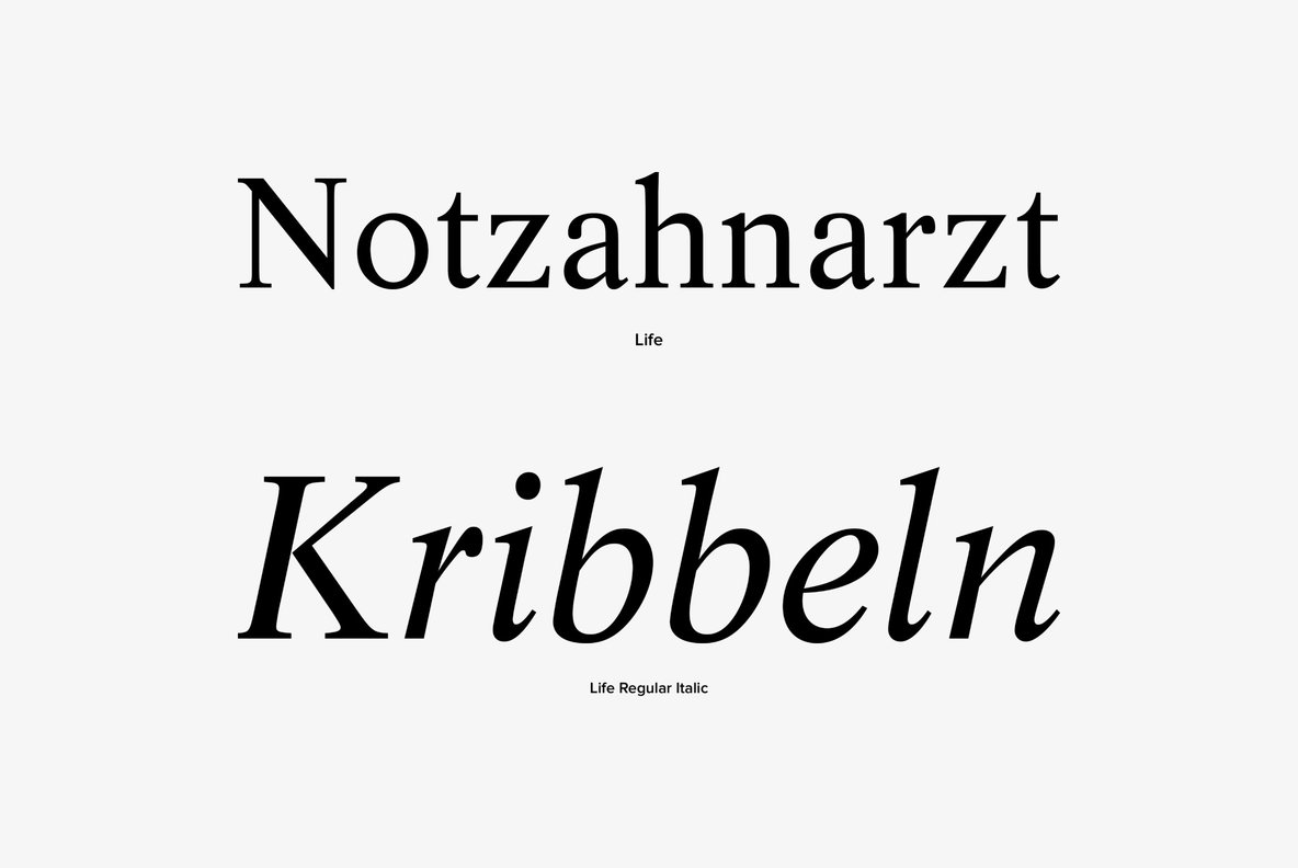 Life Font Family