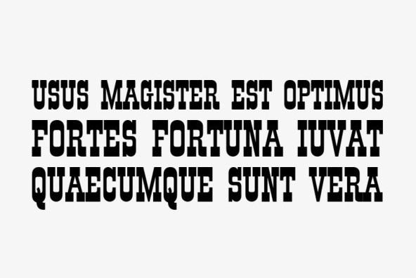 Old Towne No. 536 Font Family