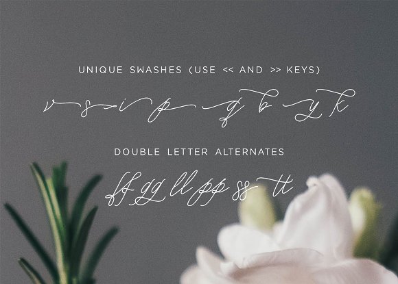 Que Sera Monoline Script