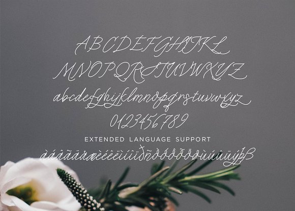 Que Sera Monoline Script