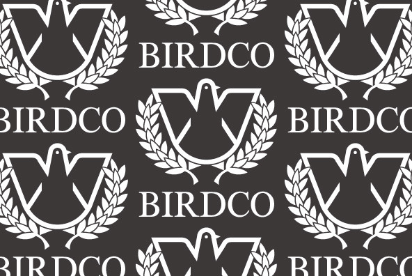 Timeless Font Family