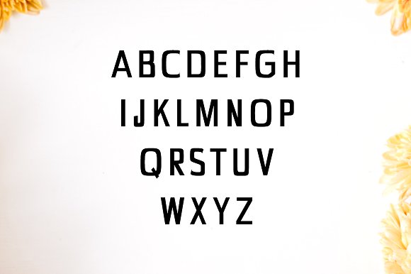 Chrys Sans Serif 4 Font Family Pack