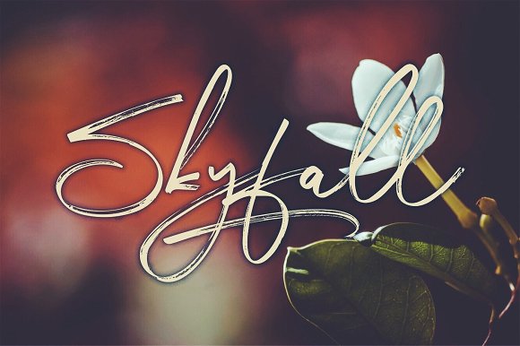 Radikal Font