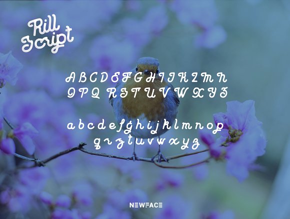 Rill Script