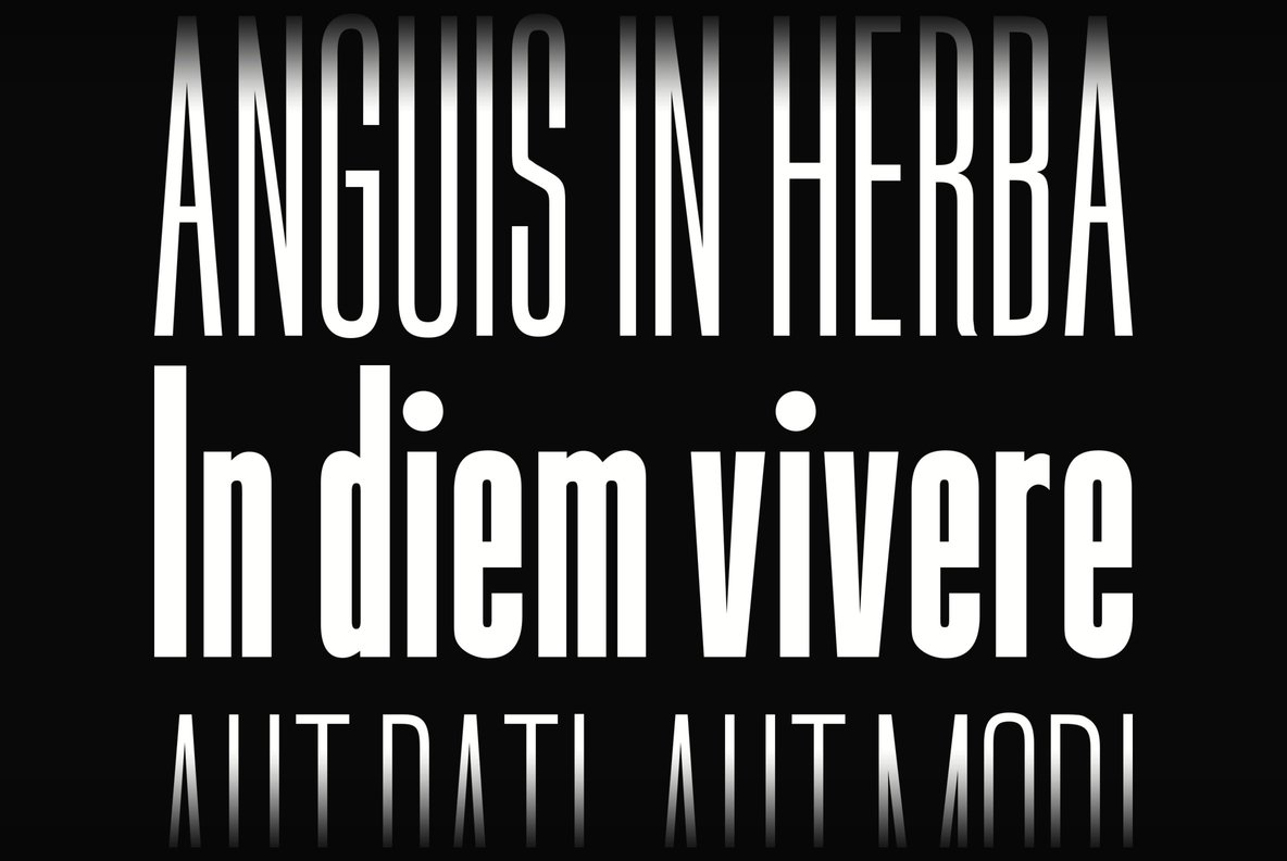 URW Bee Font Family