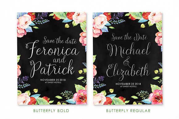 Butterfly Script Font