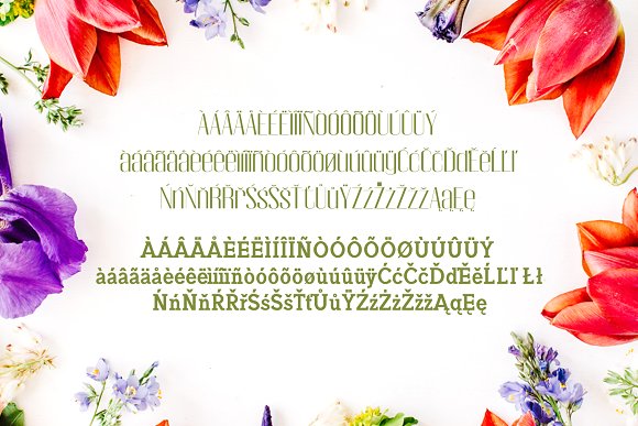 Jadrien Serif + Sans Duo 5 Font Pack Jadrien Serif + Sans Duo 5 Font Pack