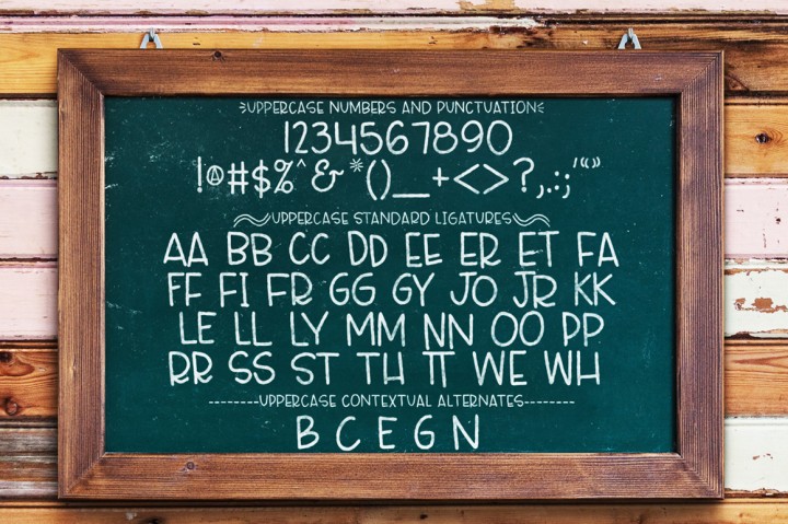 Lucille Hand Lettered Font Duo