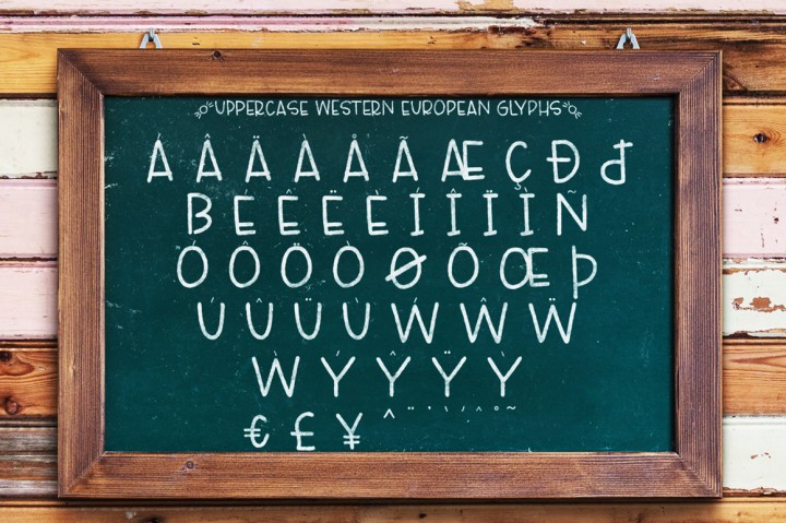 Lucille Hand Lettered Font Duo
