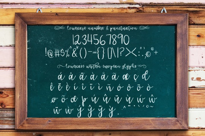 Lucille Hand Lettered Font Duo