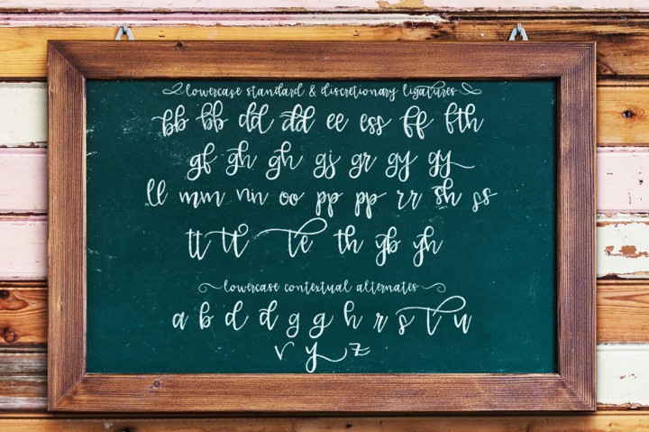 Lucille Hand Lettered Font Duo