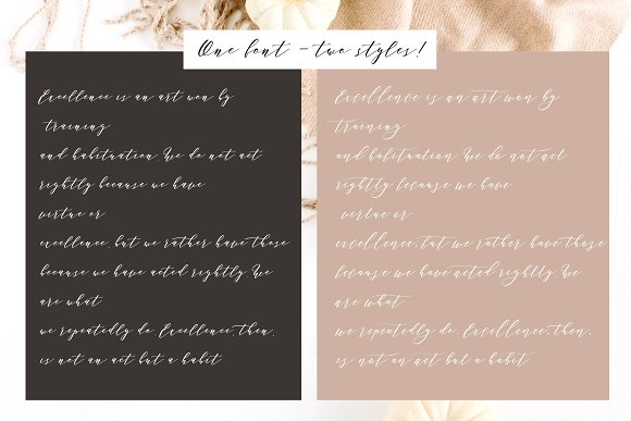 Perfect Charm - Elegant Font Script