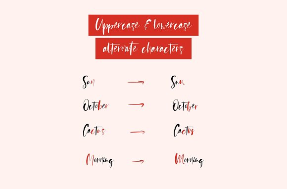 Sienna Signature Font + Extras Sienna Signature Font + Extras