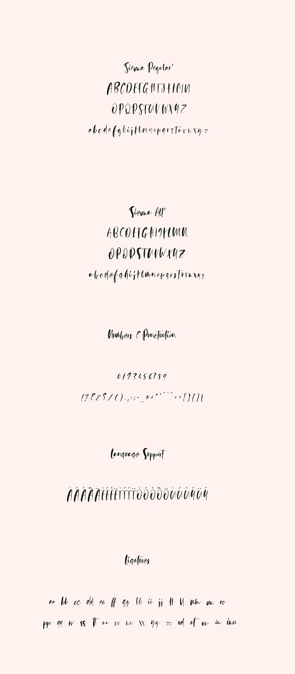 Sienna Signature Font + Extras Sienna Signature Font + Extras