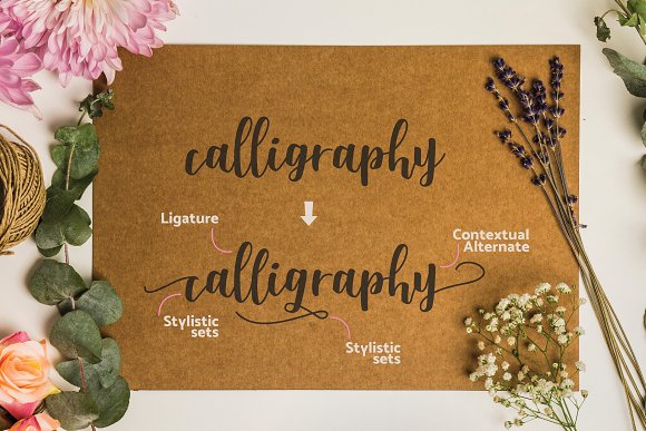 Shella Font Trio