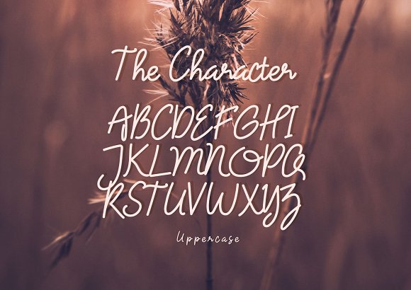 Treasure Script - Free Font