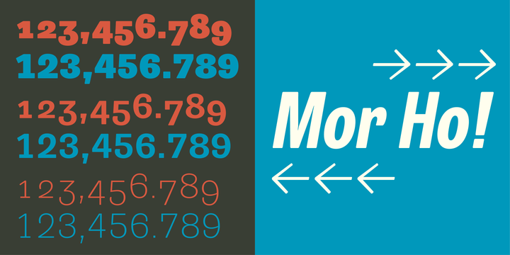 Trivia Grotesk Font Family Trivia Grotesk Font Family