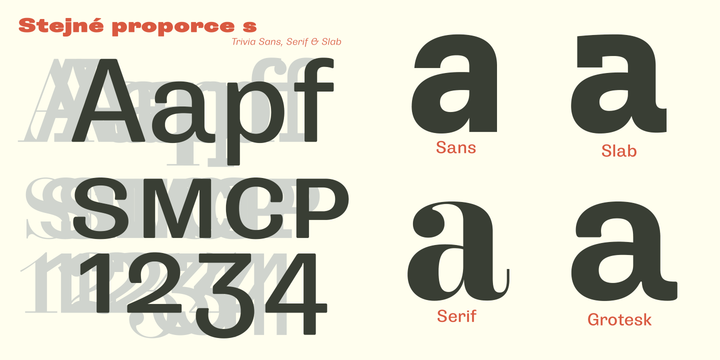 Trivia Grotesk Font Family Trivia Grotesk Font Family