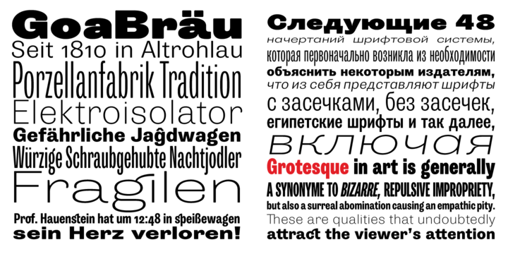 Trivia Grotesk Font Family Trivia Grotesk Font Family