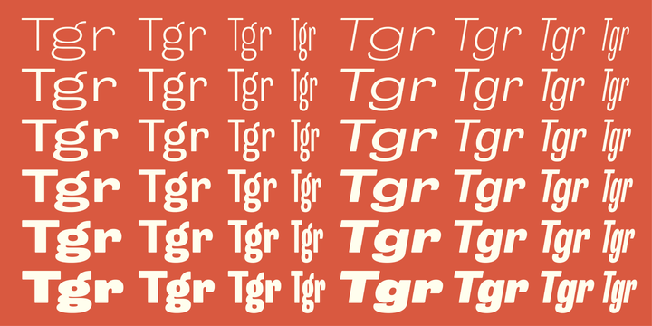 Trivia Grotesk Font Family Trivia Grotesk Font Family