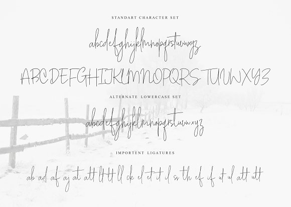 White Apparel | Script Font