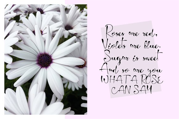 Wondery Font Wondery Font