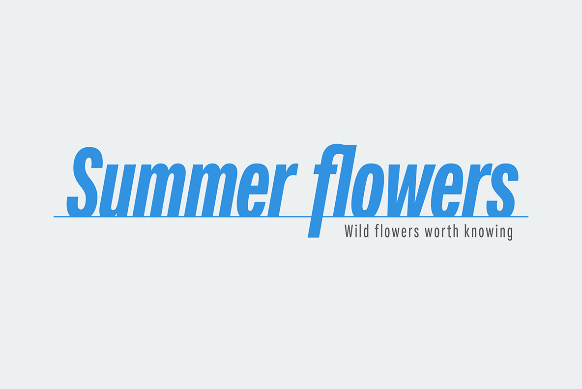 Fairweather Font Family