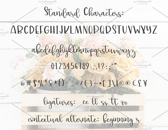 lillie belle hand lettered font
