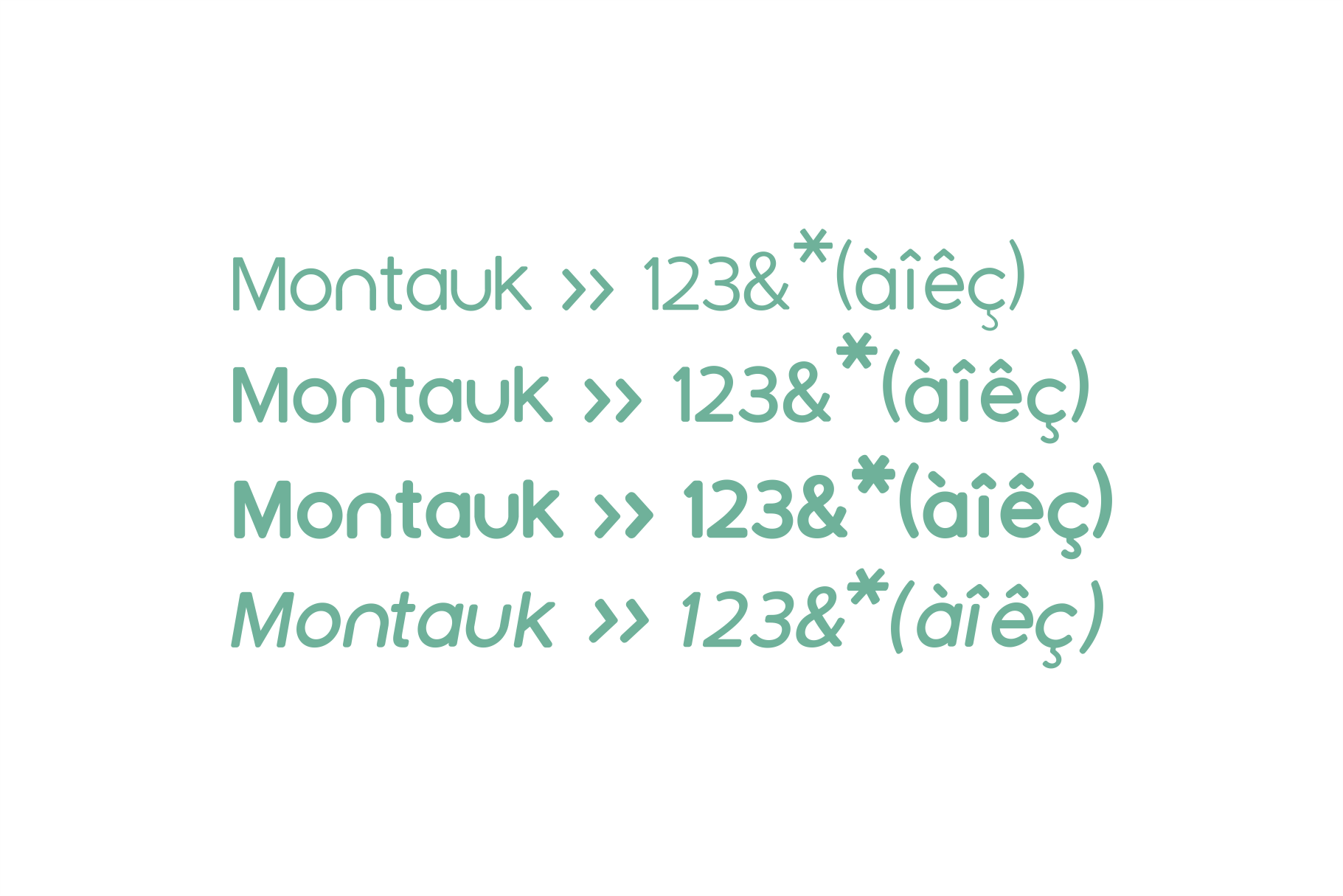 montauk-sans-serif-font-family-1.png