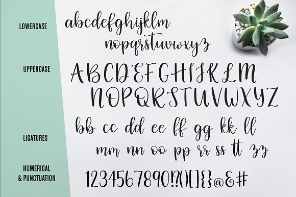 Raspberry Script Brush Font