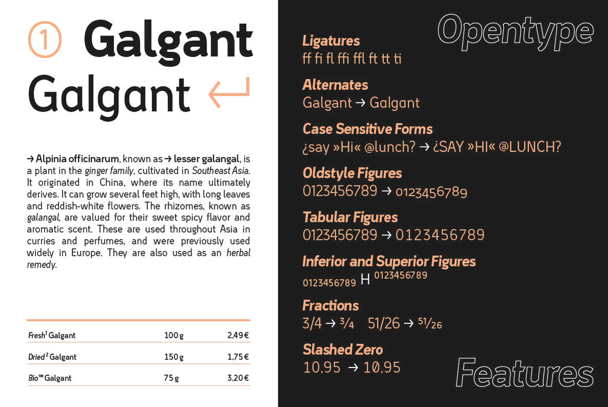 Tans Font Family Tans Font Family